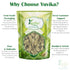Yuvika Elaichi Choti - Green Cardamom